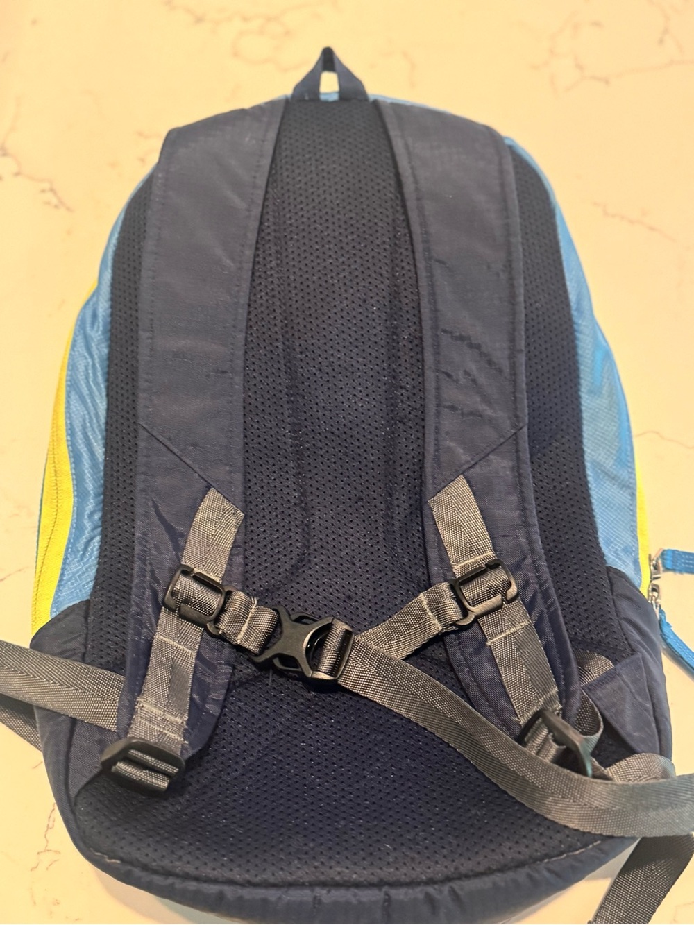 Patagonia Blue and Yellow Lightweight Kids Backpack - Picture 5 of 6